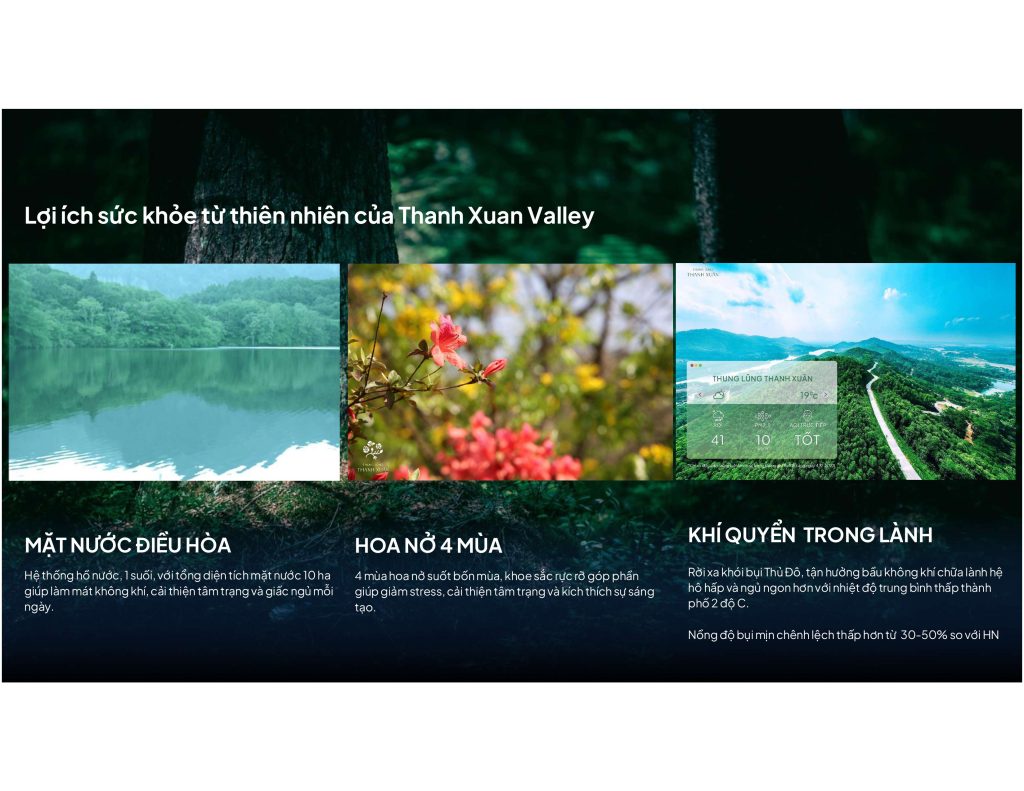 Nghỉ dưỡng đồi thông miền Bắc