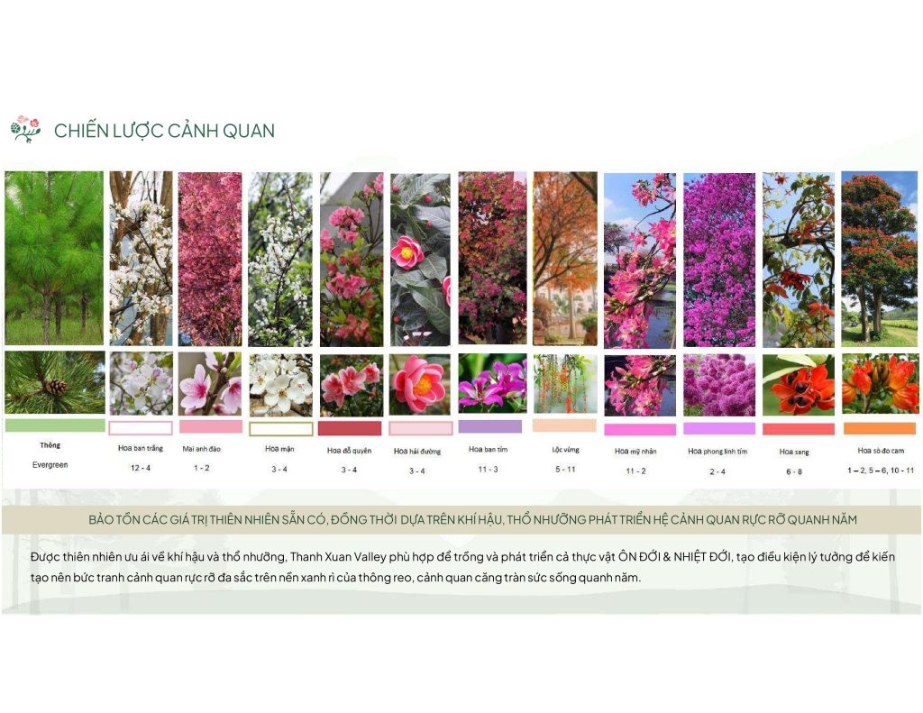 Dự án nghỉ dưỡng khí hậu mát mẻ