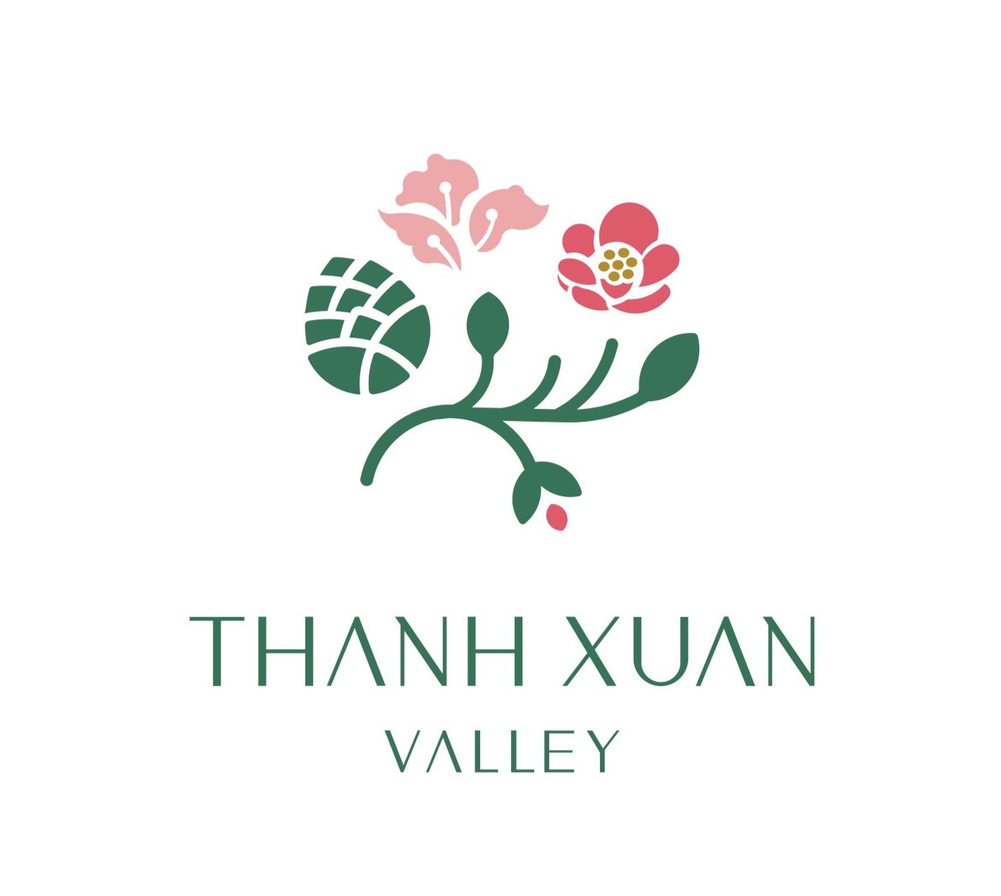 thanhxuanvalley